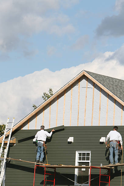 Best Demolition Debris Removal  in Holt, AL